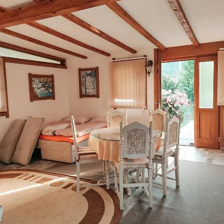 Apartment Beganovic-centar