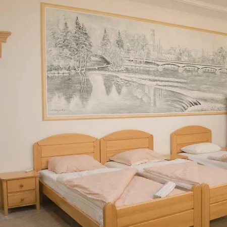 Apartment Beganovic-centar *