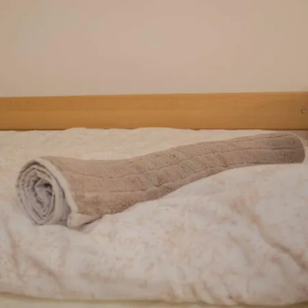 Appartement Beganovic-centar *